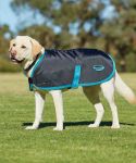 What type of dog fits a size 12 for The WeatherBeeta 420D Fleece Lined Windbreaker?