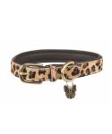 Digby & Fox Printed Cow Hair Dog Collar (xxxs-m) Questions & Answers